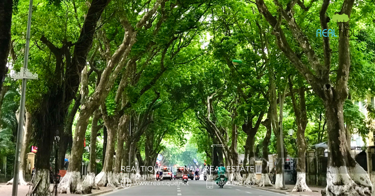 Phan Dinh Phung Street, Ba Dinh District, Hanoi